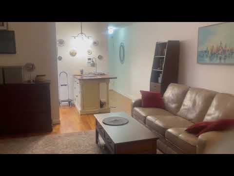 video 1