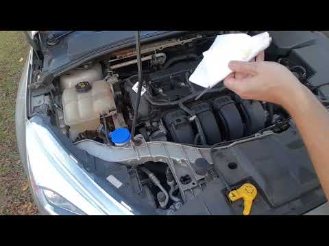 How to Check Engine Oil on a Ford Focus (2012 - 2018, 2016 shown)