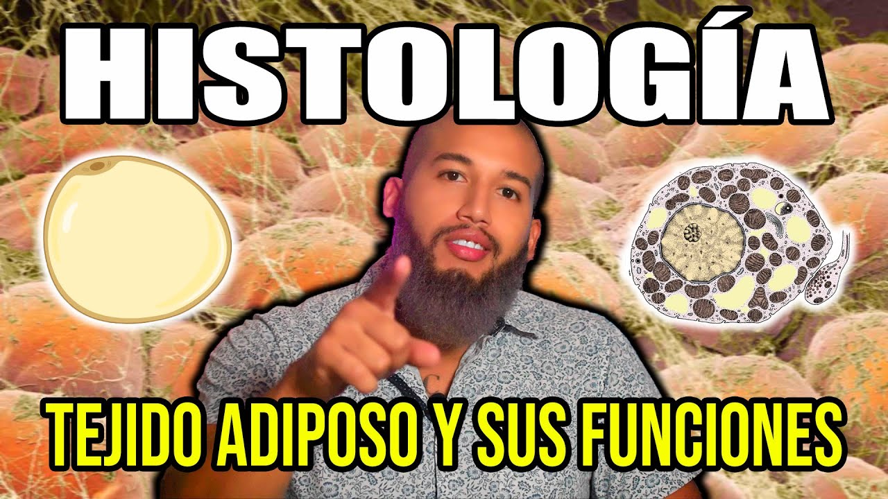 TEJIDO ADIPOSO: Mucho más que una Reserva de Energía | Histología