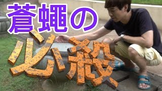 [討論] 怎麼樣才能打死蒼蠅