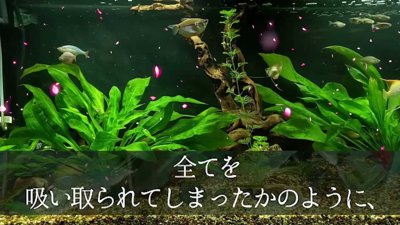 不満を聞いた看護師さんは　途端に大胆になり…【朗読】