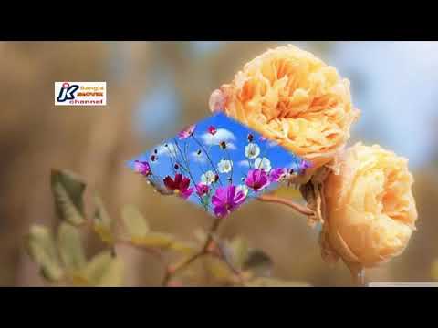 Ami bondhur preme hoilam pagol ... || Singer Mohammad Abdul Jabbar