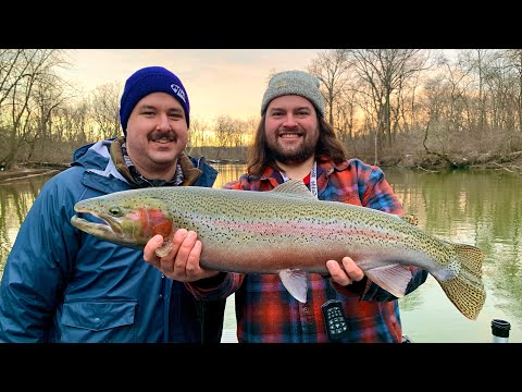 Winter Steelhead fishing Michigan, BOBBER DOWN action!