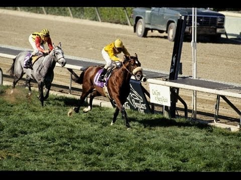 1993 Breeders' Cup Mile - Lure + Post Race