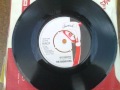 The  Radiators - Kitty Rickets