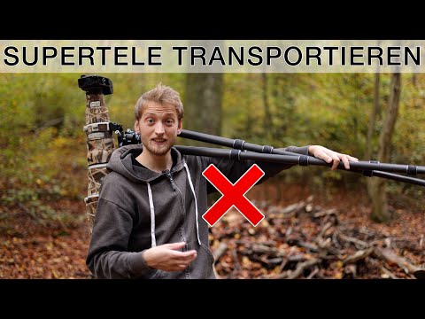 600mm Supertele im Feld transportieren: Gibt es die perfekte Lösung? Equipment Review