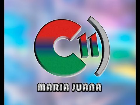 Emisión en directo de Canal 11 Maria Juana