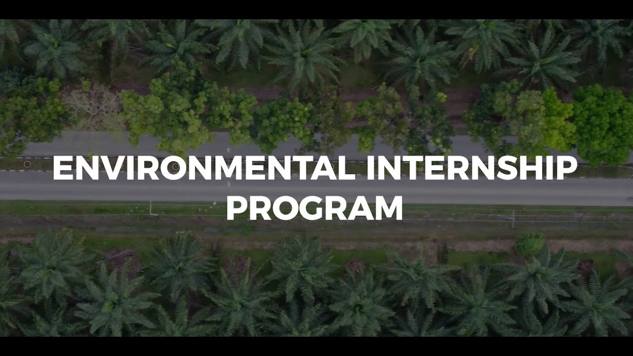 Environmental Internship Program 2024