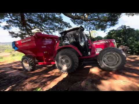 Massey Ferguson 4290 na subida com bazuca lotada de milho!