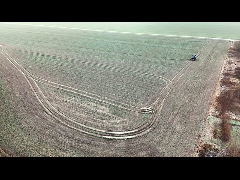 Voir à travers les nuages : comment l'imagerie radar aide les agriculteurs en Pologne