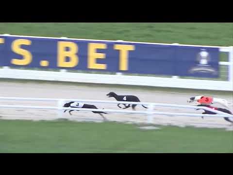2018 STAR SPORTS CHAMPION HURDLE - HEAT 2 - T5 SHANEBOY BOWIE