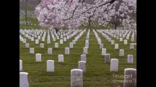 Memorial Day Tribute - &quot;Please Remember Me&quot; - Loreena McKennitt