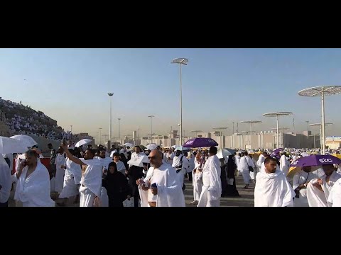 Danas je DAN AREFATA