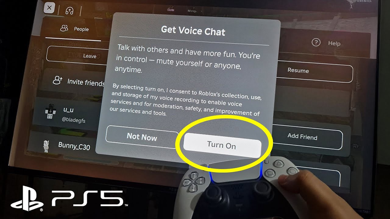 Roblox voice chat on PS5 and PS4