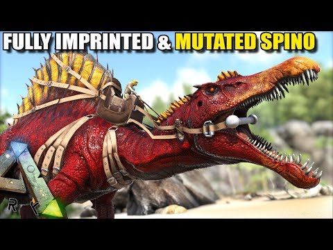 FULLY IMPRINTED & MUTATED SPINO | ARK SURVIVAL EVOLVED EP23