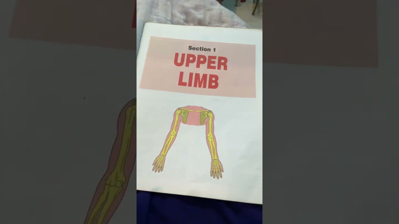 Human Anatomy Upper limb Bd chaurasia notes & pdf link