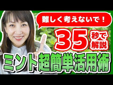 ペパーミントティーの作り方、使い方、効果 植物