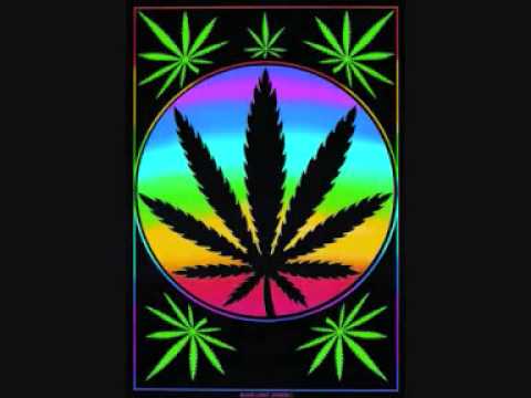 Kid Cudi ft Collie Buddz   Day N Nite Remix   YouTube