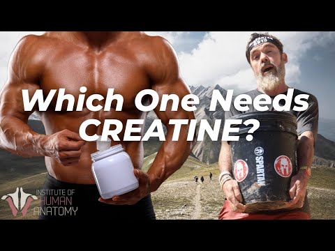 What Creatine Does to the Body