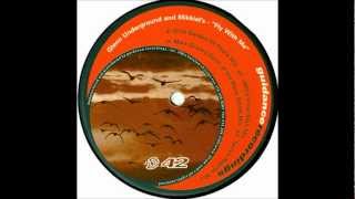 Glenn Underground and Mikkiel's - Fly with me