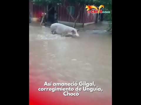 Así amaneció Gilgal, corregimiento de Unguía, Chocó