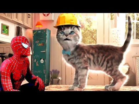 Little Kitten Adventures - Fun Learning Games