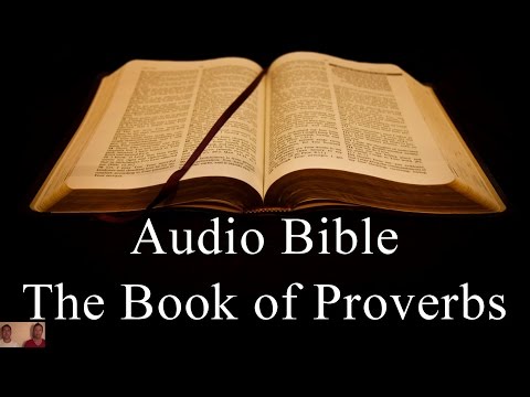 The Book of Proverbs - NIV Audio Holy Bible - High Quality and Best Speed - Book 20