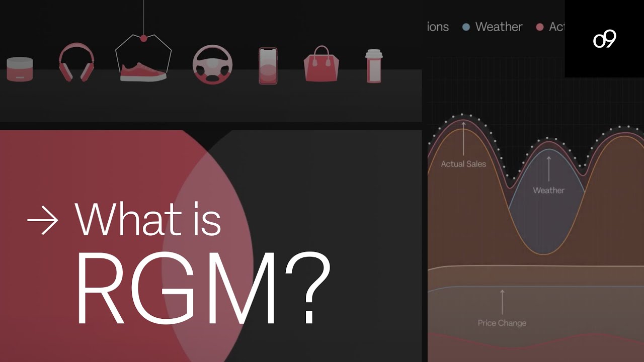 What is Revenue Growth Management? (RGM) - YouTube