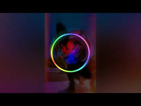 DJ REPZ [Over My Head] Reggae Remix 2k19