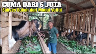 Download lagu GOAT FARMING WITH DILIGENCE, 6 MILLION CAN BE THIS LARGE mp3 Download lagu GOAT FARMING WITH DILIGENCE, 6 MILLION CAN BE THIS LARGE mp3