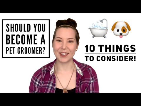 10 Things To Consider BEFORE Becoming a Pet Groomer | Pet Grooming Career