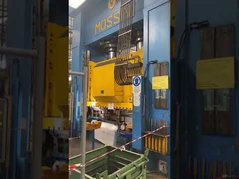 MOSSINI PO/2M 1000 P240507389