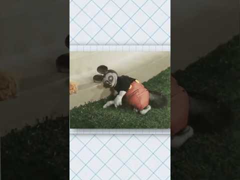 The Most TERRIFYING Mickey Mouse Appearance EVER