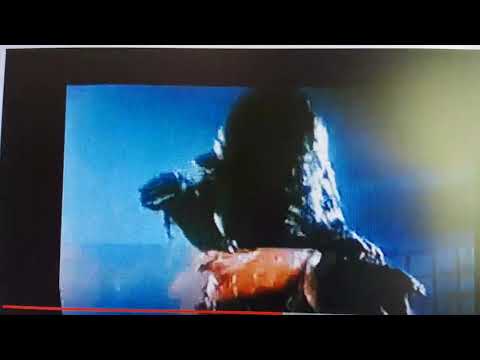 Hawaii's Most Wanted: Jason Scott Lee