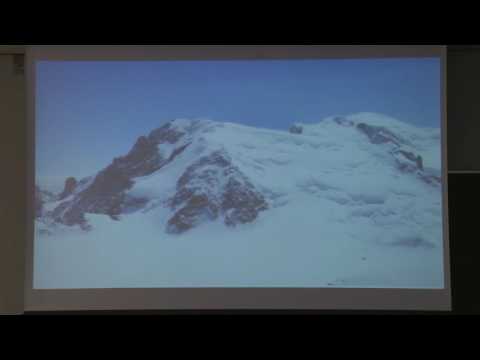 明日の緑豊かな都市