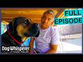Owners Losing Hope As Dog S Behavior Turns Deadly FULL EPISODE Dog Whisperer With Cesar Millan