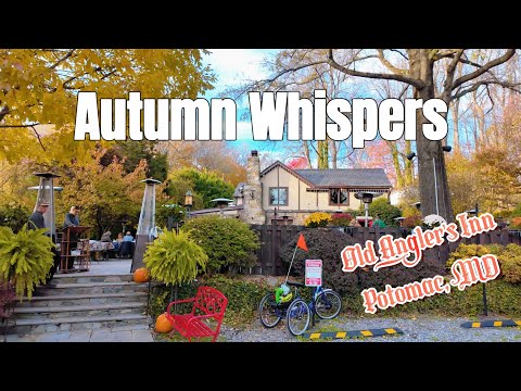 Autumn in Potomac: Old Angler's Inn & MacArthur Blvd | 4K POV Vlog