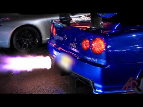 Ferhadmv (Drosero Trap - Terrorist Win)