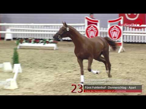 23 Fürst Fohlenhof - Donnerschlag - Apart