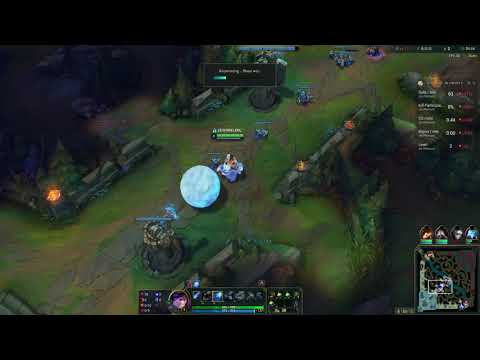 The ultimate disco nunu