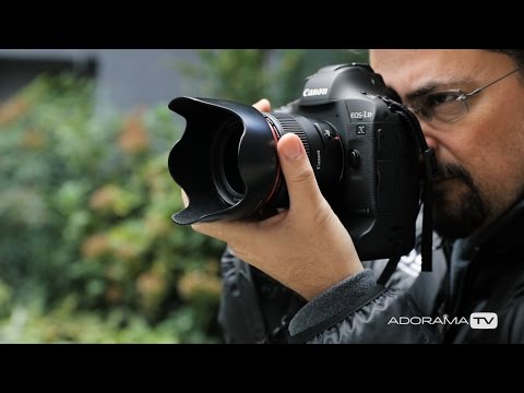 Steady As She Goes: Two Minute Tips with David Bergman