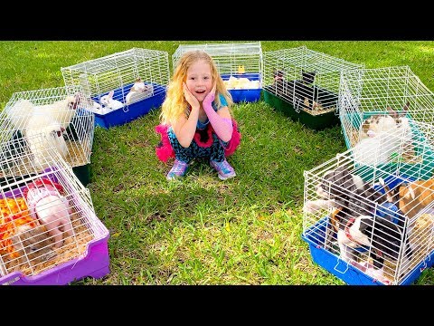 Stacy has a home zoo