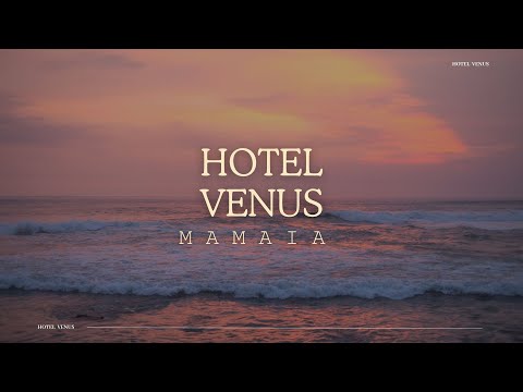 HOTEL VENUS MAMAIA, OFERTE PROMOTIONALE CAZARE LA MARE, REZERVARE CAMERE HOTEL VENUS, HOTEL CU PLAJA