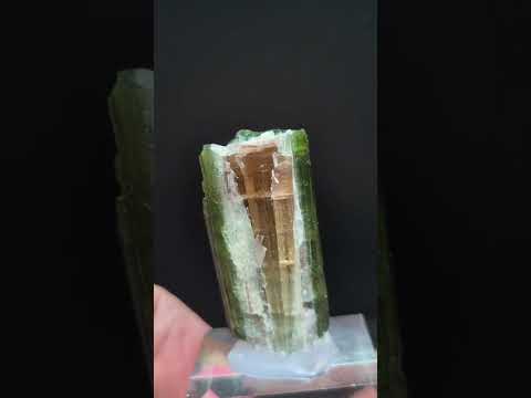 Tourmaline ( Araçuaí, Minas Gerais-Brazil )