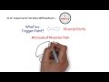 What Is A Trigger Point Trigger Points Explained