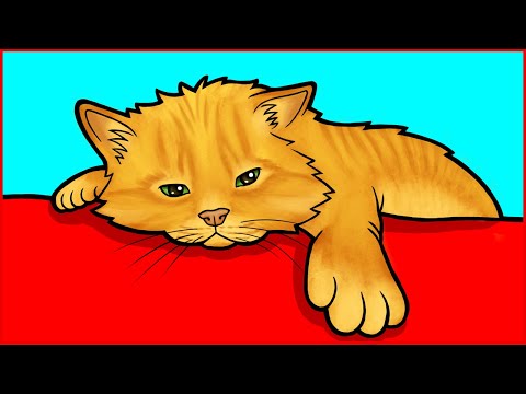7 Signs Your Cat is Really Bored and How to Fix It