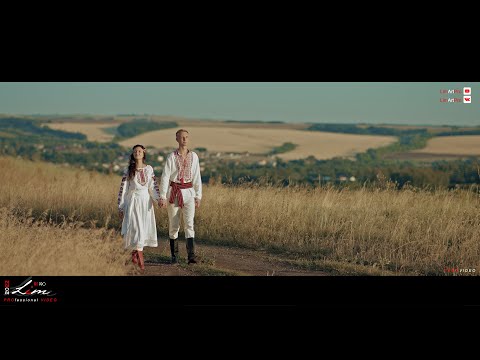 /2022-08-07/ A walk in a wheat field /Demo-Video/