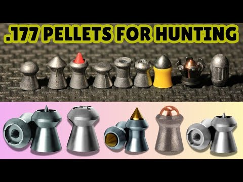Best .177 Pellets for Hunting of (2025)
