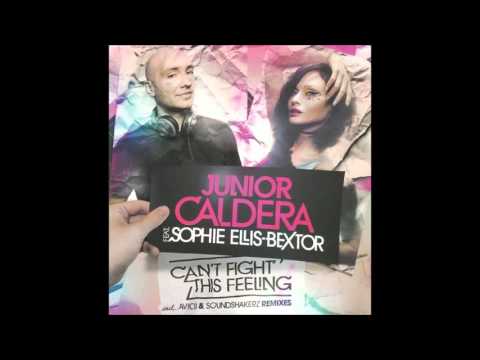Sophie Ellis Bextor Feat Junior Caldera - Can't Fight This Feeling (Winter 2010-11)