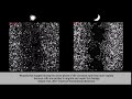 Fibroblasts Migrate To Heal A Wound
